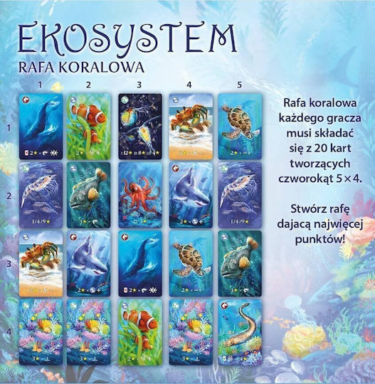 Board Game Marinevista Premium (PL) Nasza Ksiegarnia