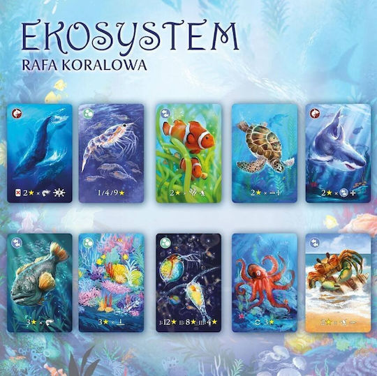 Board Game Marinevista Premium (PL) Nasza Ksiegarnia
