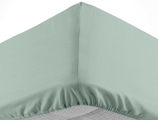 Sheet Super-Double with Elastic 160x200+30cm. L-c Lina Sage