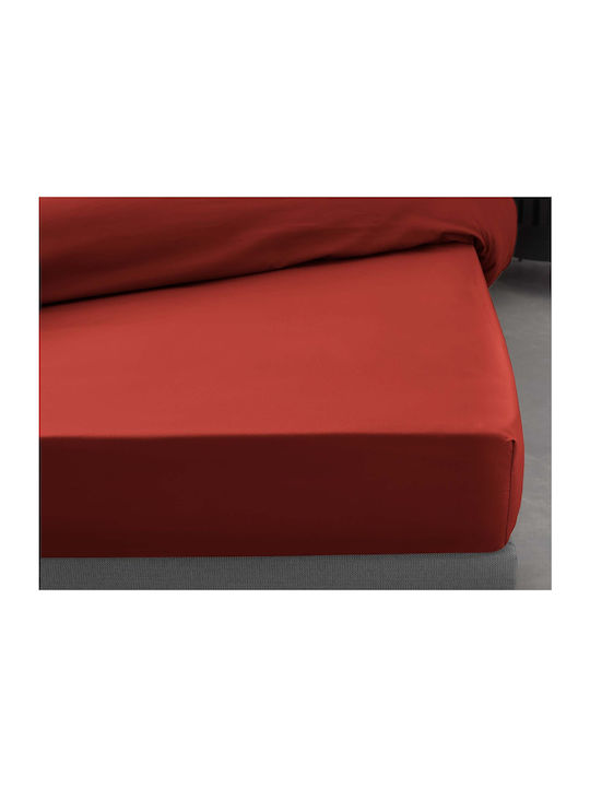 Douceur d'Intérieur Σεντόνι Υπέρδιπλο με Λάστιχο 160x200εκ. Tomette