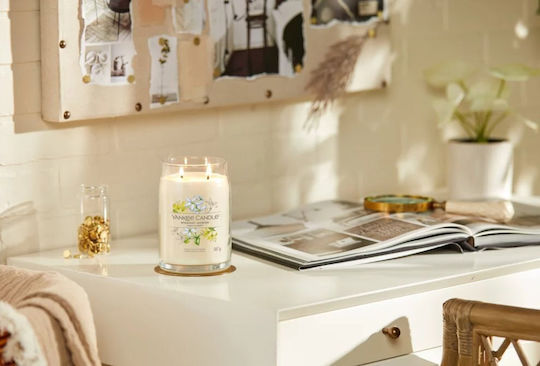 Yankee Candle Signature Aromatische Kerze in Gefäß Mitternachtsjasmin