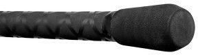 Delphin Partisan Carp Angelrute für Gießen 3.6m 360gr