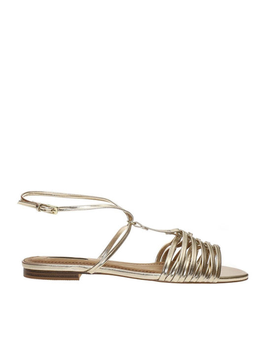 Women's Flat Sandals in Gold Color