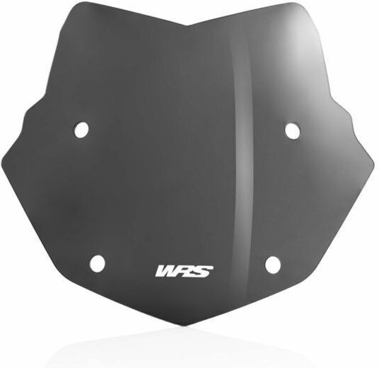 WRS Getöntes Visier Motorrad für BMW R 1200 BM026FS