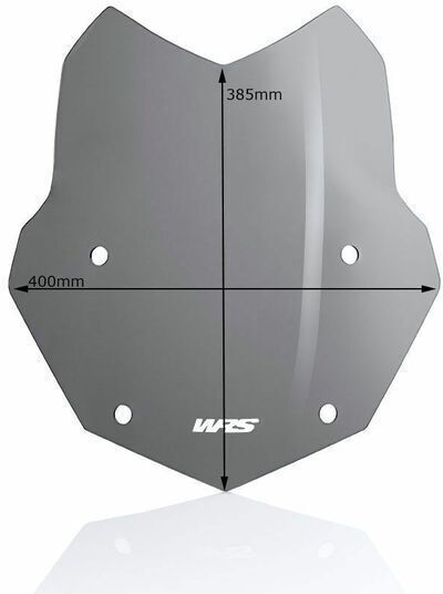 WRS Getöntes Visier Motorrad für BMW R 1200 BM040FS