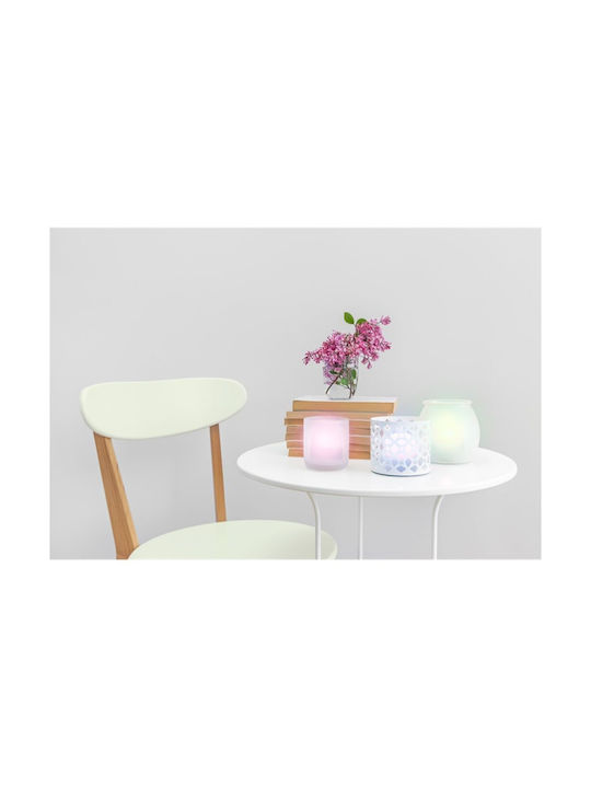 Securit Decorative Lamp Tealight Multicolour 12pcs