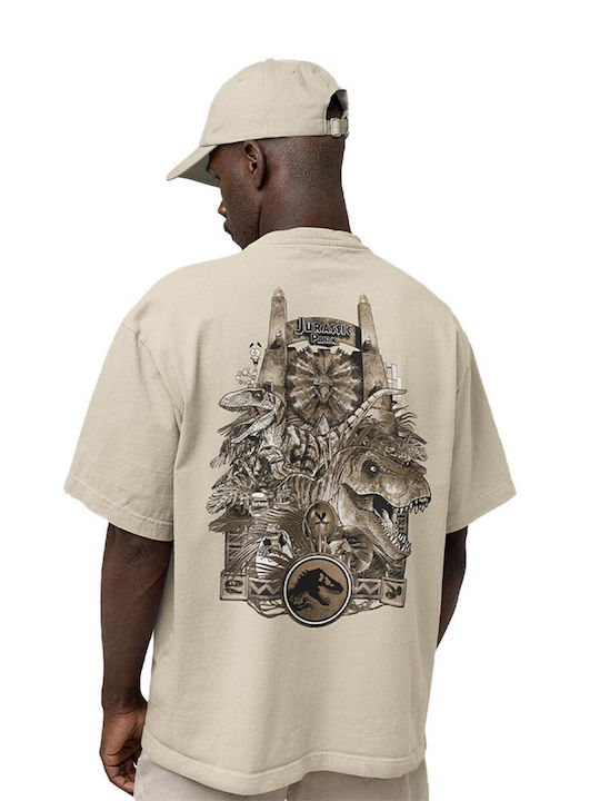 Cotton Division