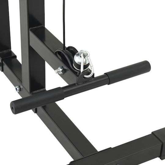 vidaXL Rücken-Seilzug mit Gewichten 80kg