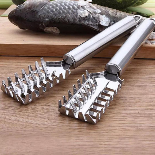 Fish Descaler made of Stainless Steel