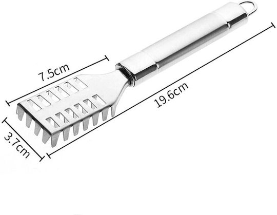 Fish Descaler made of Stainless Steel