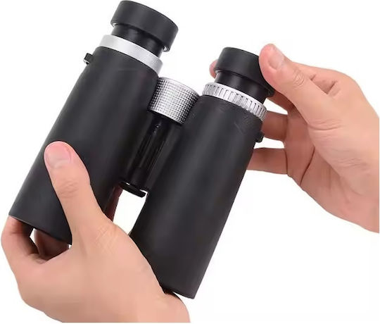 Binoculars 10x42