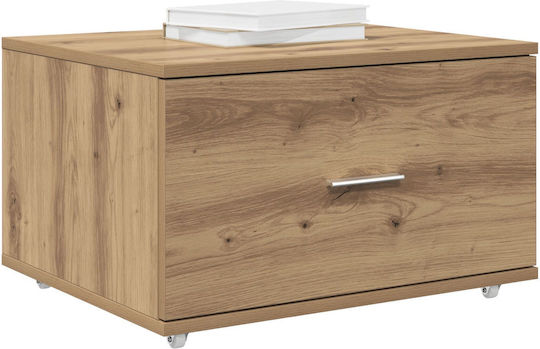 Cabinet de depozitare L55xW45xH33.5buc