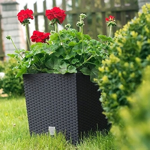 Prosperplast Rato Set 2 Ghivece Plastice Maro