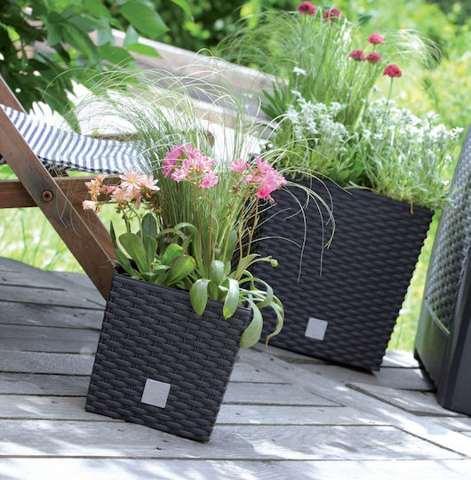 Prosperplast Rato Set 2 Ghivece Plastice Maro