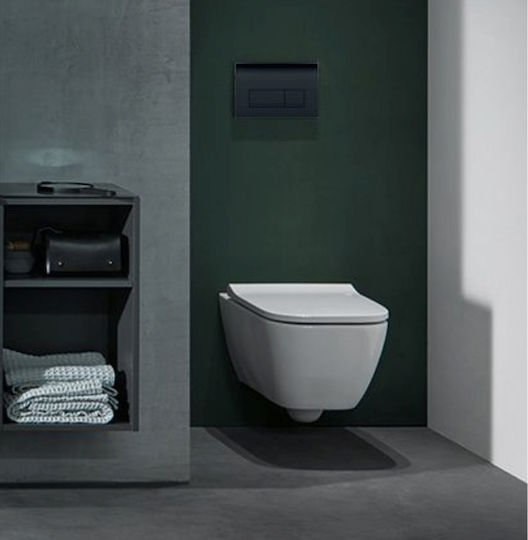 Geberit Flush Plate for Cistern Dual Flush Black Glossy