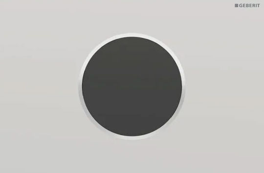 Geberit Flush Plate Dual Flush