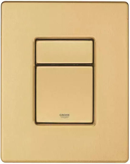 Grohe Skate Cosmopolitan Flush Plate Dual Flush