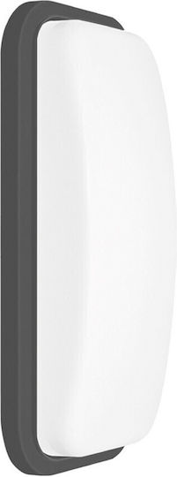 Braytron Стенен Външен Осветител LED IP65 15W 23.6x11.6x6.8см