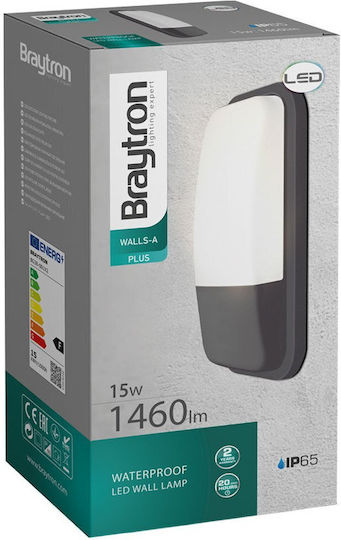 Braytron Стенен Външен Осветител LED IP65 15W 23.5x12x7см