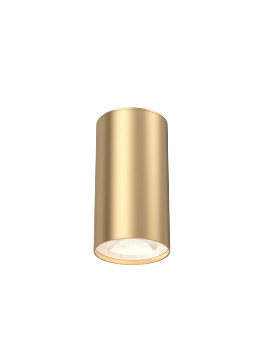 Braytron Single Spot with Socket GU10 in Gold Color