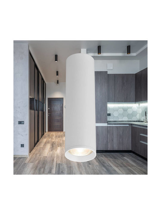Braytron Single Spot with Socket GU10 in White Color