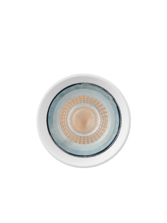 Braytron Single Spot with Socket GU10 in White Color
