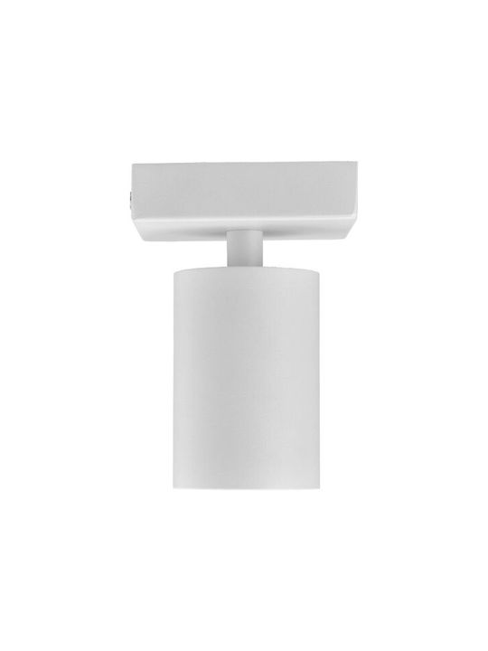 Braytron Single Spot with Socket GU10 in White Color
