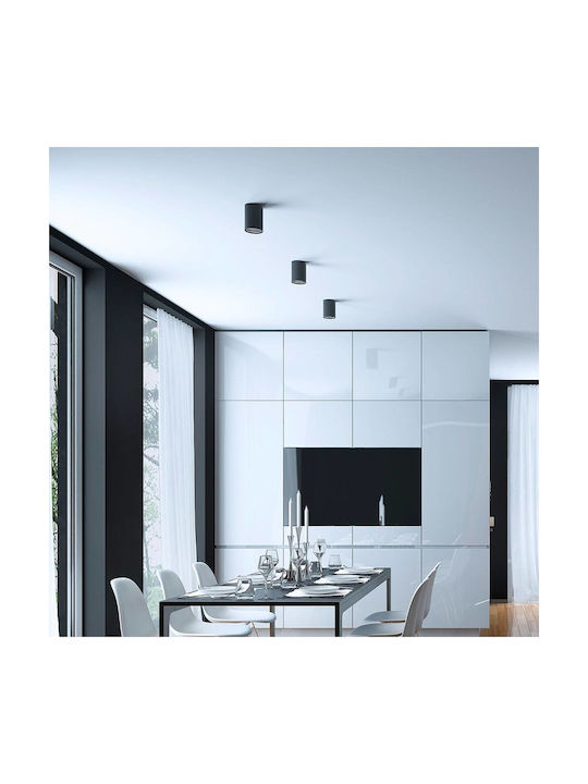 Braytron Single Spot with Socket GU10 in Black Color