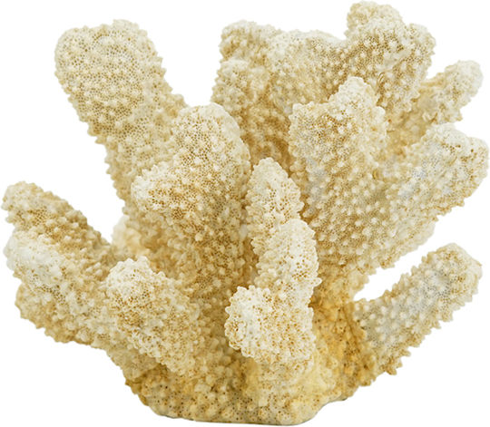 Artekko Decorative Coral made of Polyresin 22x17x14cm 1pcs