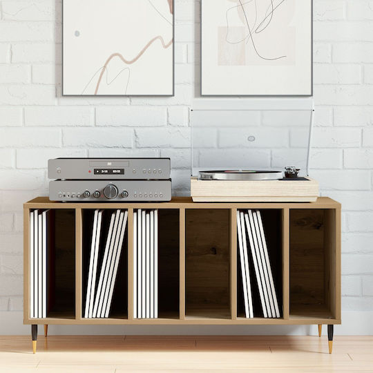 vidaXL Hi-Fi Furniture Brown 38x100x48cm