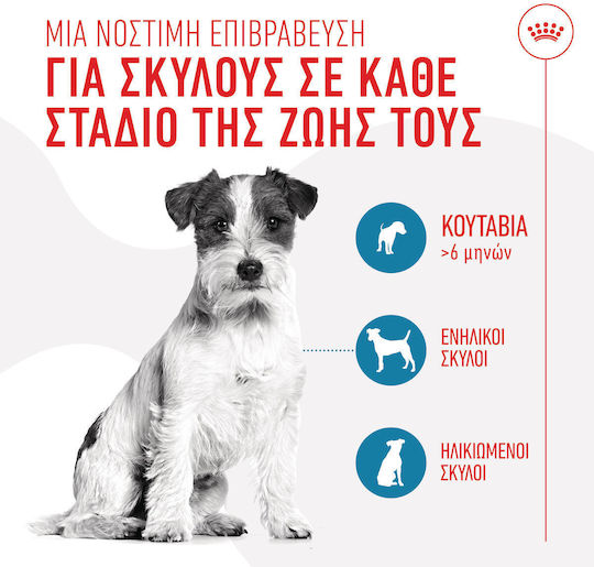 Royal Canin Training Treats Λιχουδιά Σκύλου με Πουλερικά 110gr