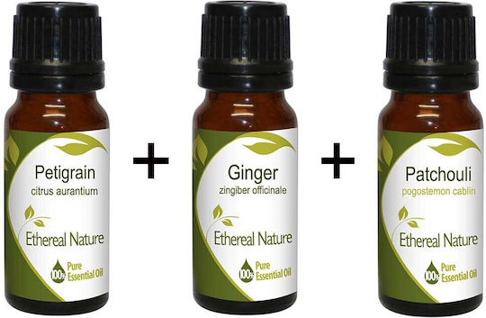 Herbie Set Leafy Spicy Earthy Essential Petitgrain 10ml + Ginger 10ml + Patchouli 10ml Nature & Body