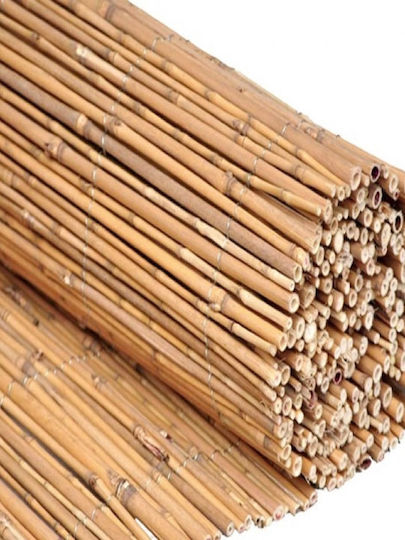 Sidirela Bamboo Fencing with Whole Reed 1.5x5m