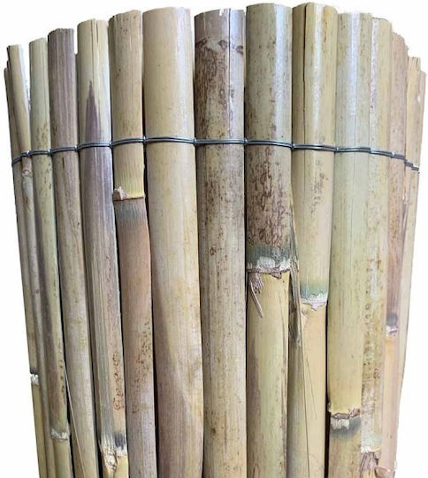 Dom Wood Bambuszaun mit Halbes Schilf 1x5m