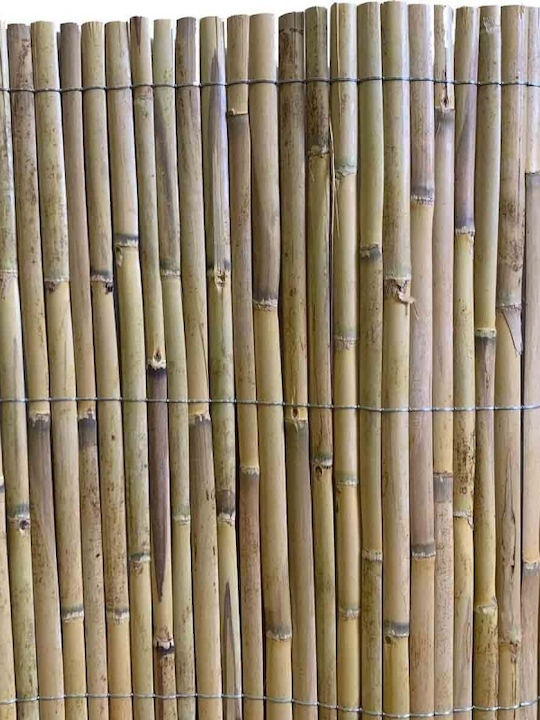Dom Wood Bamboo Fencing with Half Reed 1x5m