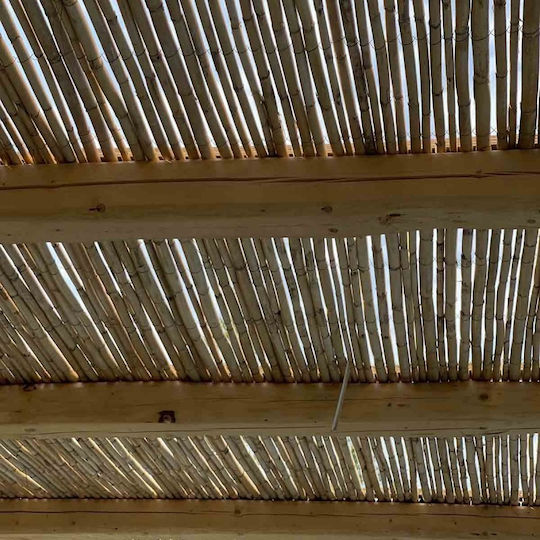 Showood Καλαμωτή με Ολόκληρο Καλάμι 2x3m