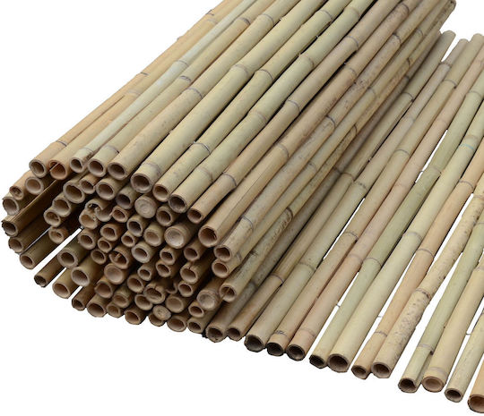 Showood Καλαμωτή Μπαμπού με Ολόκληρο Ξύλο 1x3m