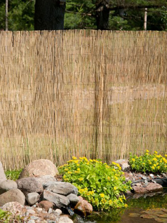 Showood Bamboo Fencing with Whole Reed 1.5x3m