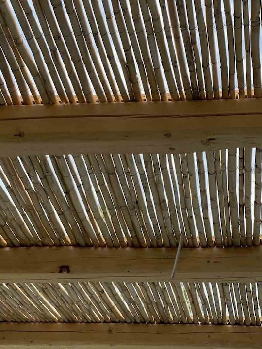 Showood Bambuszaun mit Ganzes Schilf 2.5x3m
