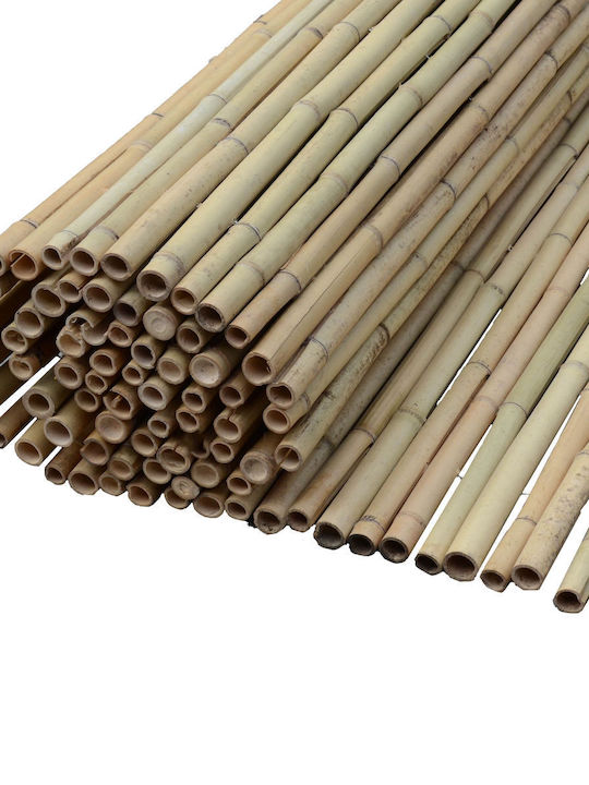 Showood Bamboo Fencing With Whole Reed Bamboo 2.5x3m