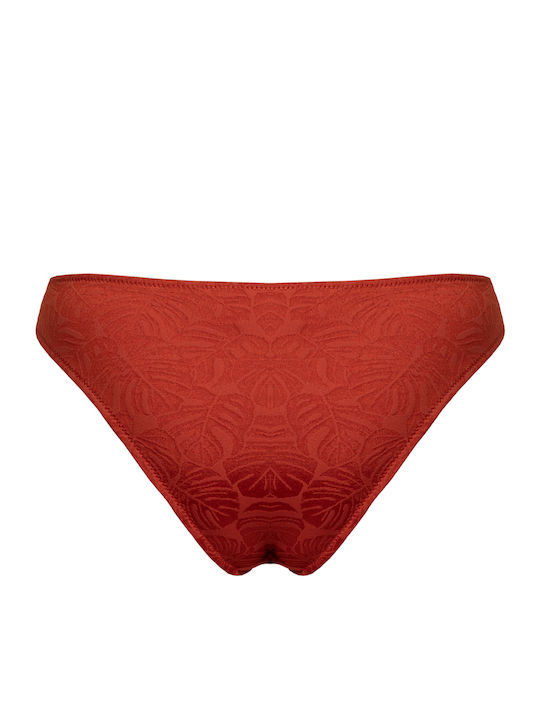 Bikini Slip Summer Sequoia