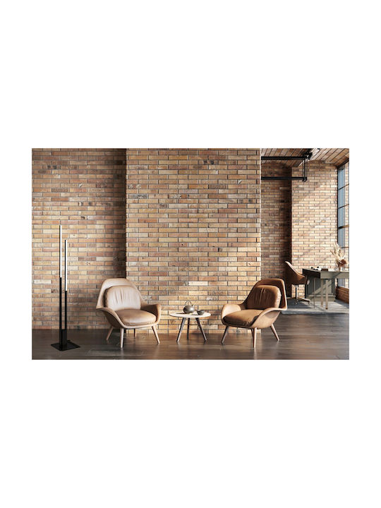Eglo Fraioli-C LED Floor Lamp H175.5xW28cm. with RGBW Light Black