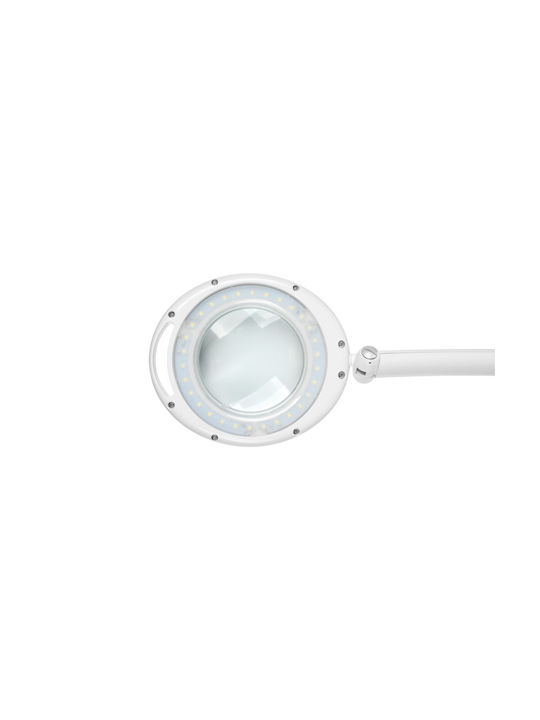 Rebel LED Schreibtischlampe in Weiß Farbe
