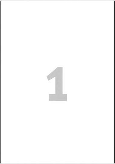 Avery Etichete autoadezive A4 Dreptunghiulare 210x297mm
