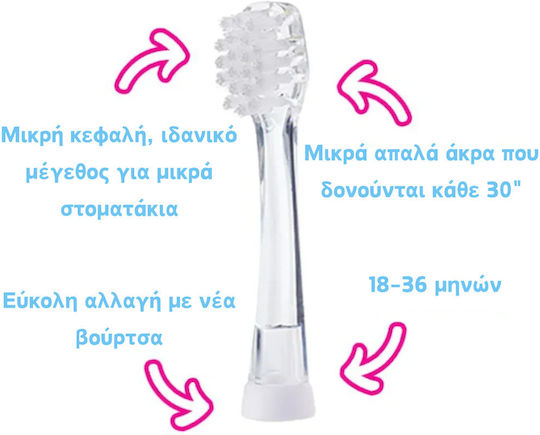Brush Baby Brush Baby Ersatzköpfe Für Elektrische Zahnbürsten 4 Stück Für Alter 18 Monate+