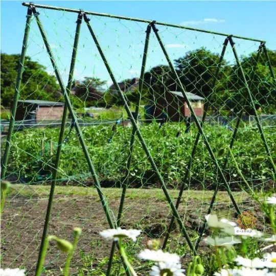 Στήριξη Φυτών 0.8 X 150cm Μέταλλο Πλαστική Επένδυση 2904149