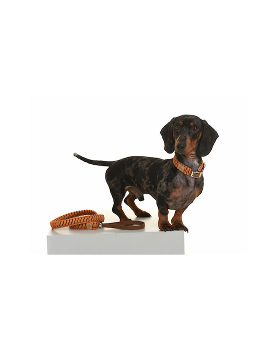 Unicord Hundehalsband Wolkenkratzer Bronze L 44-50cm 40mm