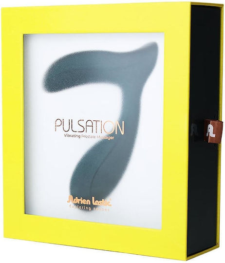 Anal Plug mit kabelloser Funktion und Vibration