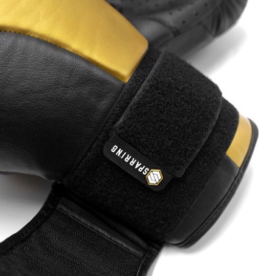 Fujimae Boxing Gloves Leather for Match Black