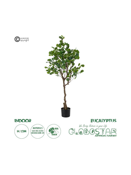 Eucalyptus in Potted Plant 120cm GloboStar